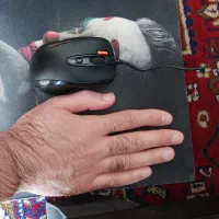موس نو