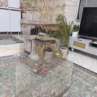 سه تا قفس محکم قیمت مناسب
