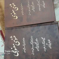 کتاب مثنوی معنوی ۲ جلد|کتاب و مجله ادبی|تهران, آهنگ|دیوار