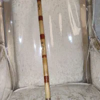 نی سل کوک و کوک دو کوتاه هر دو سالم