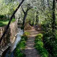 تور یک روزه بوژان جمعه ۱۱ اردیبهشت