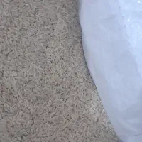 برنج محلی صدری و علی کاظمی|خوردنی و آشامیدنی|الشتر, |دیوار