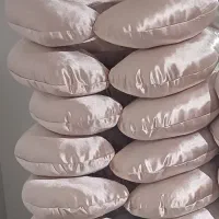 تولید و پخش بالشت گردنی عمده بیسکویتی