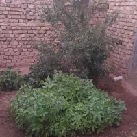 خانه ویلایی فروشی|فروش خانه و ویلا|دشتابی, |دیوار