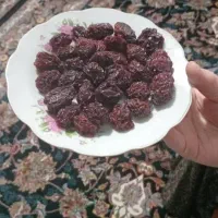 الو تازه خوش طعم و ارگانیک
