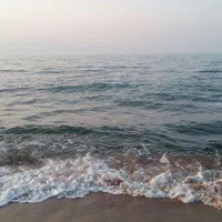 معرفی