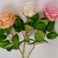 آموزش و فروش گل دست‌ساز منعطف همیشه جاودان|گل مصنوعی|نجف‌آباد, ویلاشهر|دیوار