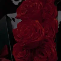 کادو.گل ربانی