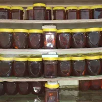 عسل معروف کرمانشاه