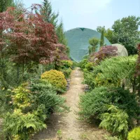 1468-متر-زمین-شهری-در-تنکابن