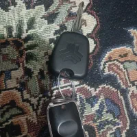 سویچ پیدا شده|اشیا|کارون, |دیوار