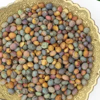 بنه پسته وحشی