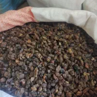 کشمش آفتابی تاکستان تحویل درب منزل|خوردنی و آشامیدنی|ساری, |دیوار