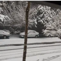 ساختمان-دو-طبقه-جنوبی-200-متر-زمین-یکجا