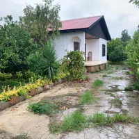 ویلا باغ ۴۷۵ متری /سنددار/رویان /جنگلی|فروش خانه و ویلا|رویان, |دیوار