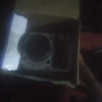 پرنده|پرنده|خرمشهر, |دیوار