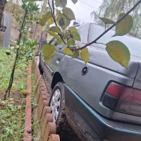 پژو ۴۰۵|خودرو سواری و وانت|رشت, توشیبا|دیوار