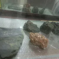 اکواریوم به همراه بخاری تصفیه دماسنج|ماهی|تهران, امیریه|دیوار