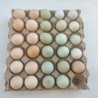تخم مرغ محلی