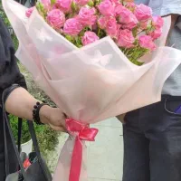 رز مینیاتوری بسته ای فقط ۴۵۰|گل و گیاه طبیعی|شیراز, خلدبرین|دیوار