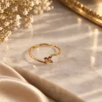 طلا|جواهرات|آشخانه, |دیوار