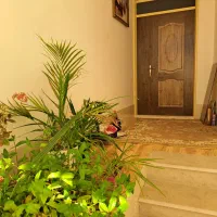 اجاره روزانه