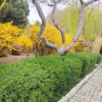 همسفر میشم همراه خودرو کمپر اصفهان