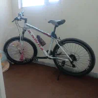 دوچرخه 26راپیدو