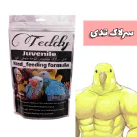 سرلاک تدی|لوازم جانبی حیوانات|شیراز, ریشمک|دیوار