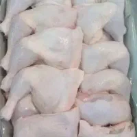 مرکز ران مرغ