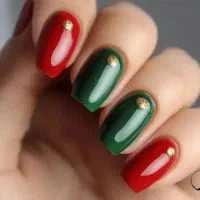 تخفیفات یلدایی 50درصد