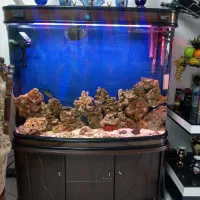 اکواریوم خارجی