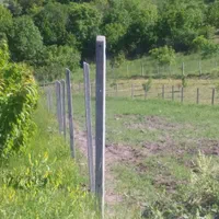 فنسکشی داربست باغ انگور و پایه فنس بتنی تیرچه باغی|حراج|تاکستان, |دیوار