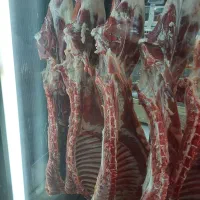 کارگر ماهر مرغ ماهی گوشت