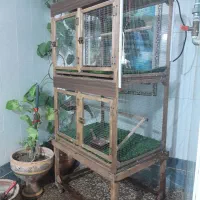 فقس پرنده|لوازم جانبی حیوانات|شیراز, حجت آباد|دیوار