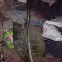 وسایل بنایی