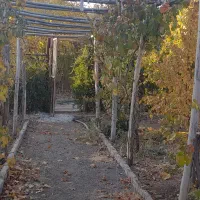 باغ ۱۰۰۰متری همراه با اتاق|فروش دفتر صنعتی، کشاورزی، تجاری|سامان, |دیوار