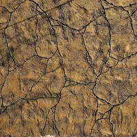 پودرسفید سفال کاشی وسرامیک موزاییک نرده سیمان کاری|خدمات پیشه و مهارت|سنگر, |دیوار