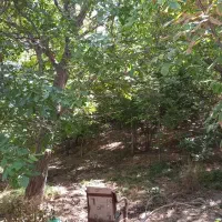 1320متر باغ با بر اصلی ۴۳ با جواز ساخت کیلان