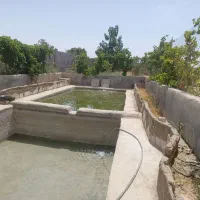 باغچه-ی-فروشی