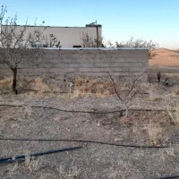 باغ۵۰۰۰مترروستای حیران|فروش دفتر صنعتی، کشاورزی، تجاری|همدان, |دیوار