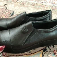 کفش|کیف، کفش، کمربند|اصفهان, پوریای ولی|دیوار