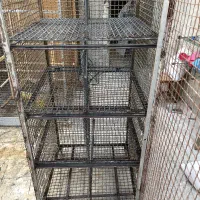 جفت کن گنجه جفتکنی جوجه کشی