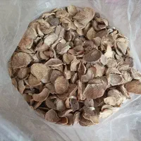 موسیر برای ترشی