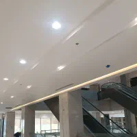استاد کار نقاش