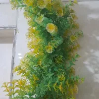 قفس پرنده طوطی یا مرغ مینا+درختچه|لوازم جانبی حیوانات|کرج, فاز ۴ مهرشهر|دیوار