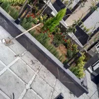 خدمات باغبانی باغچه هرس کاری خاک گلدون سراسر تهران