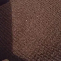 موکت کم کار|موکت|سنندج, |دیوار