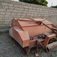 برگ زن چغندر