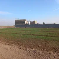 زمین خانه باغ شهرمشکات